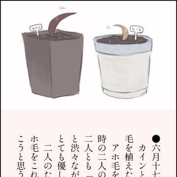アホ毛成長日記