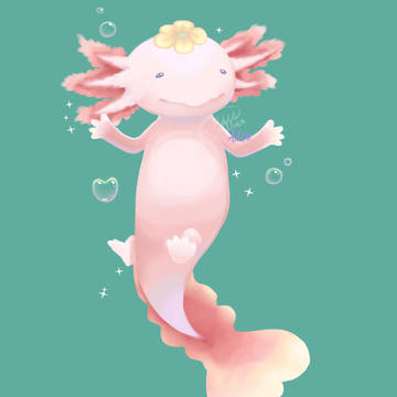 Little axolotl-小さなアホロートル