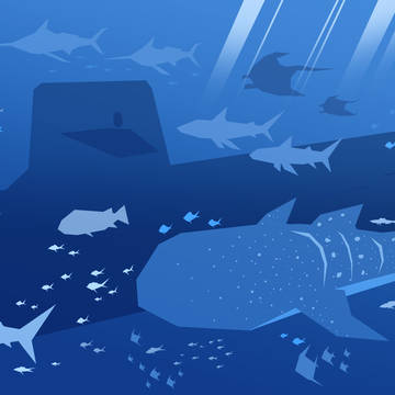Swim With Technology
