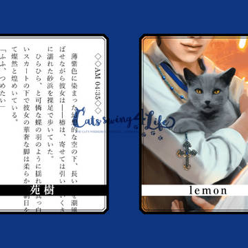 Page 11 thumbnail