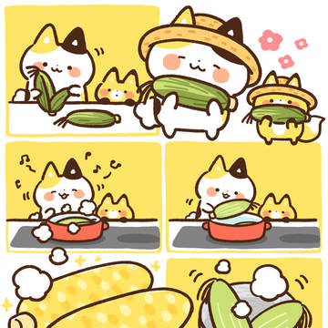 大事なとうもろこし その後