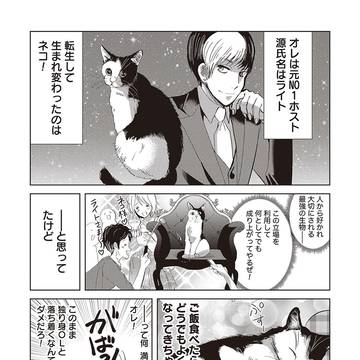NO1ホストがネコに転生する漫画2
