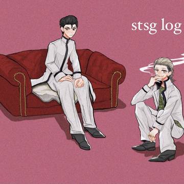 stsg log