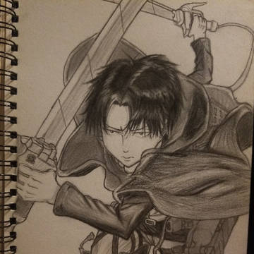 Levi