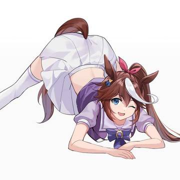TOKAI TEIO
