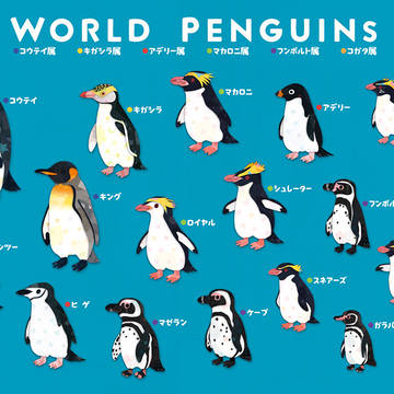 世界のペンギンさん