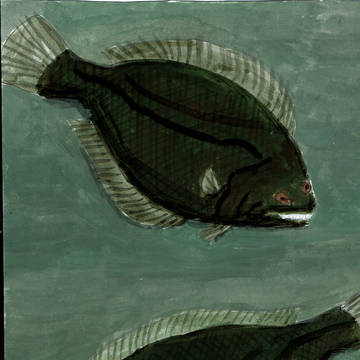 ボウズガレイ