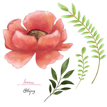 flowers 花