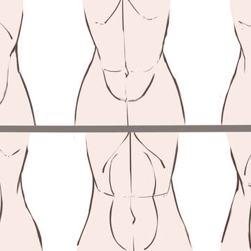 線で見るおなか