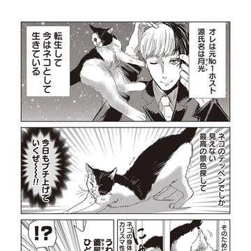 NO1ホストがネコに転生する漫画3