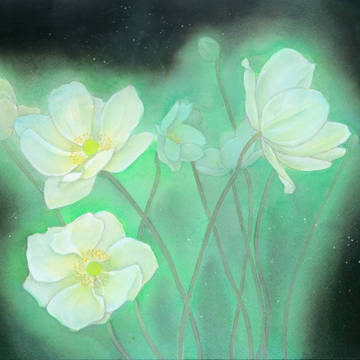 Anemone hupehensis