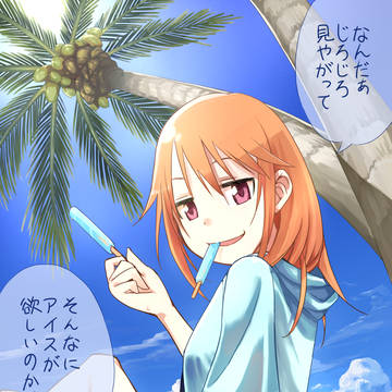 アイドル・サマーアドベンチャー!