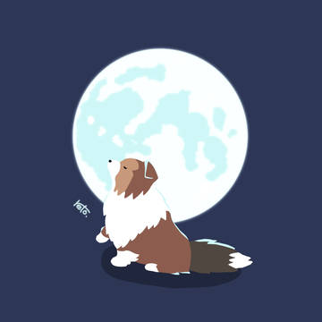 シェルティ×月
