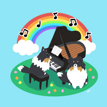 シェルティ×ピアノ