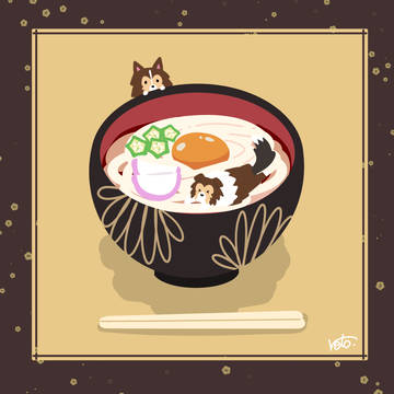 シェルティ(&柴犬)×うどん