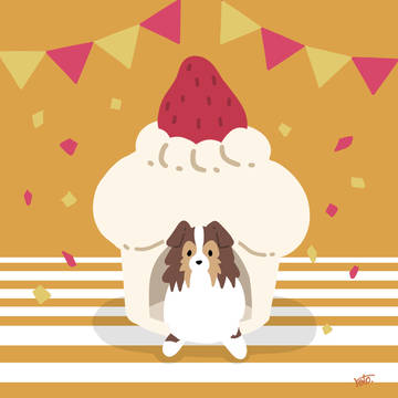 シェルティ×ケーキ