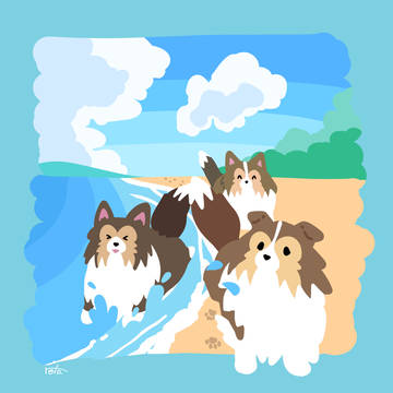 シェルティ×海