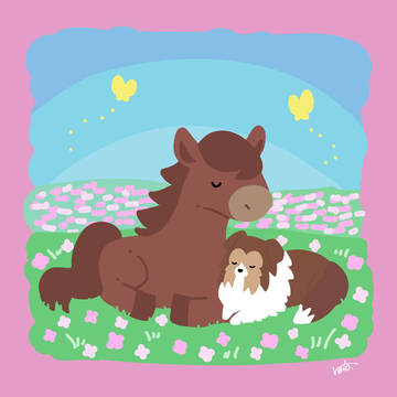シェルティ×お馬さん