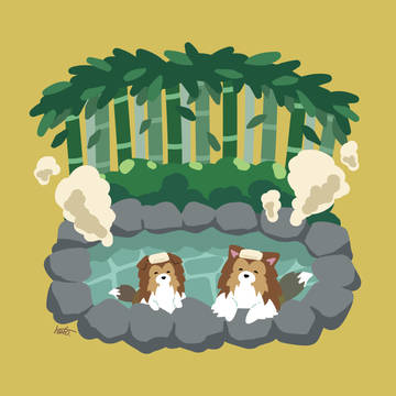 シェルティ×温泉