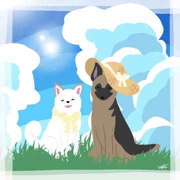 柴犬&シェパード×夏の清々しい感じ