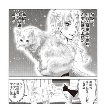 NO1ホストがネコに転生する漫画4
