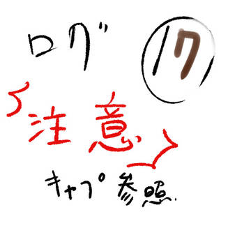 ろぐ17