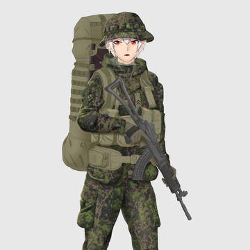 Finland defence forces