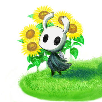 Hollowknight - 夏