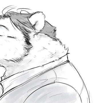 なし