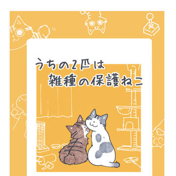 「うちの2匹は雑種の保護ねこ」　漫画ＤＬ販売！