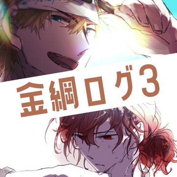 金綱ログ3