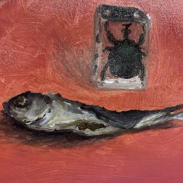 魚