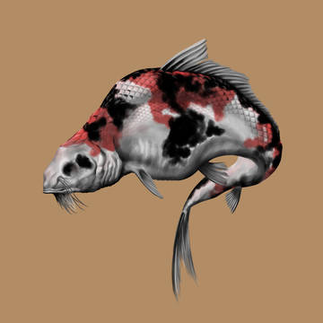 金魚