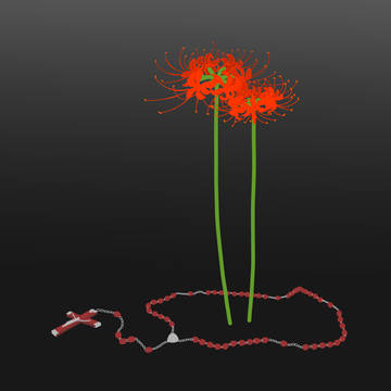 境界線を示す花