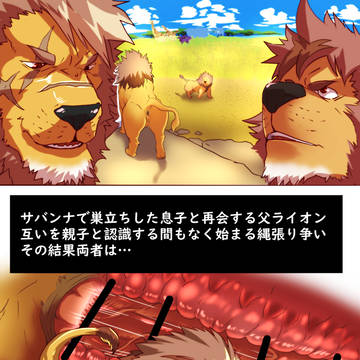 ライオン親子カップル