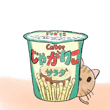 ひょっこりにゃんこ