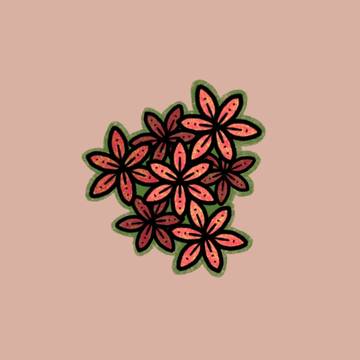 flowers 1