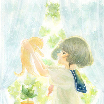 あなたと私とゴムの木と　1