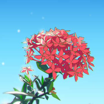 Ixora