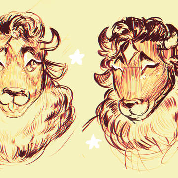 Bison Sketches