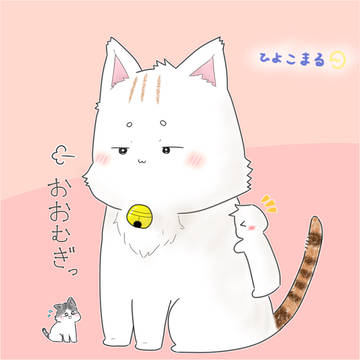 大きくなったこむぎちゃん
