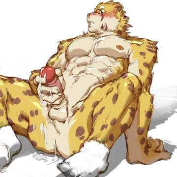 豹豹