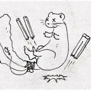 尻で割り箸を割るキヌガワ