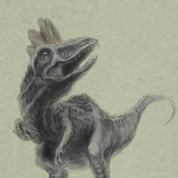 less is moreの概念を失ったジャ○ロ(?)