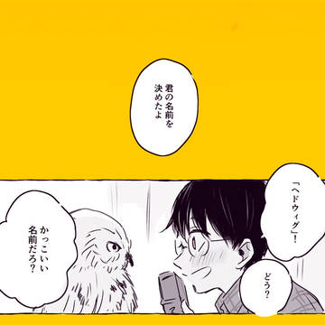 Good bye my dear HP