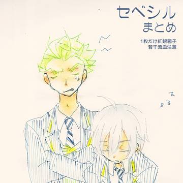 セベシル+αまとめ