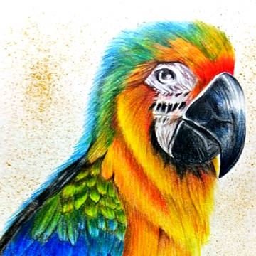 動物插畫