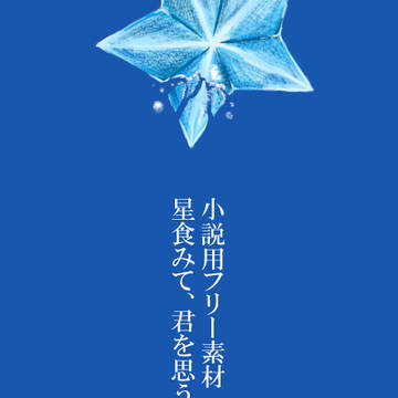 小説用フリー素材 星食みて、君を思う。