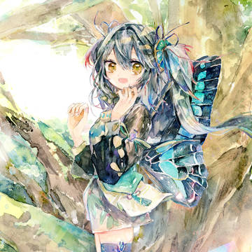 butterfly