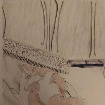 Cat Doodle